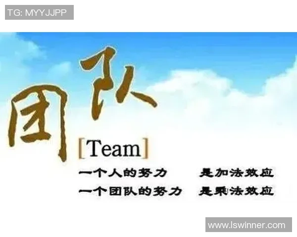 杭州极限运动队意识对比分析探讨团队文化与个人表现的关系