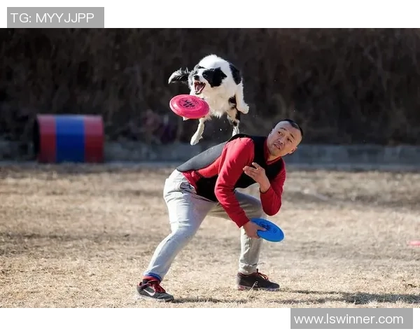 飞盘热潮下的北京飞盘队实力之争引发广泛讨论与关注